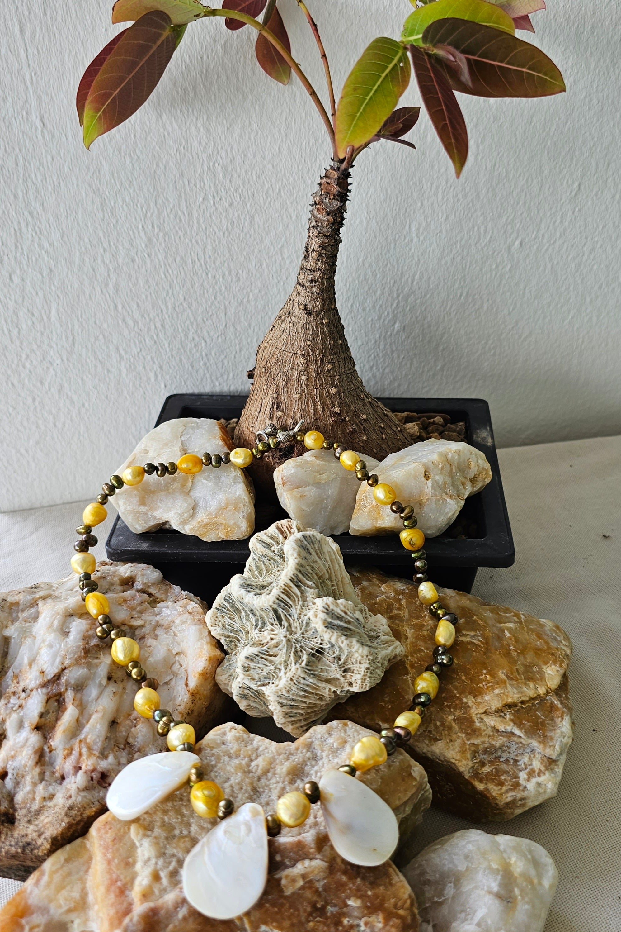 Pearl + Seashell Necklace